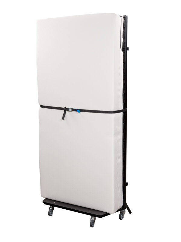 Jade20444520upright201.jpg